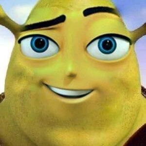 Meet your Posher, Arianna